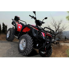 800cc bicylindre CVT 4 * 4 Diesel ATV(LZA800E-2)